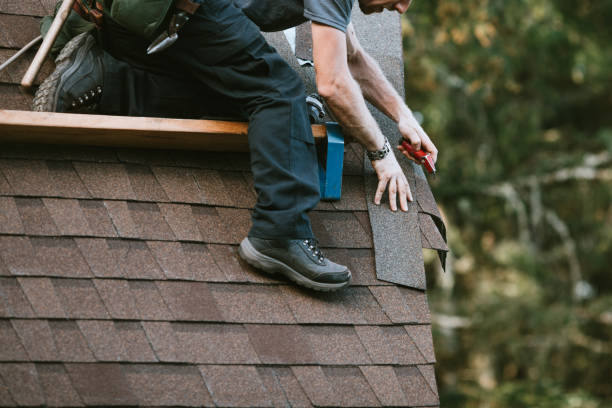 Best Roof Gutter Cleaning  in Mammoth, AZ